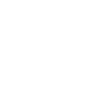 phone-white-icon